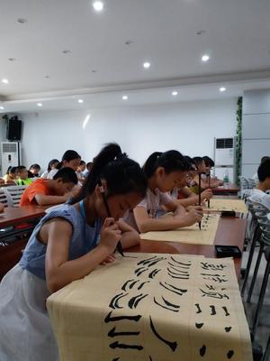 陈家桥街道开展青少年“快乐学书法”培训活动纪实